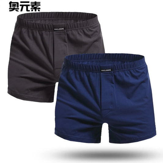 Brand Sexy Men's Underwear 2Pcs\lot Boxer Shorts Male