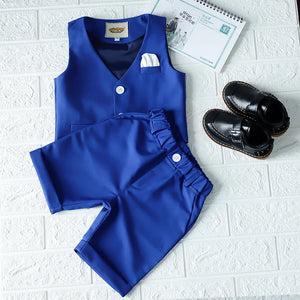Flower Boys Formal Jacket+Pants 2Pcs Clothing Set Children Gentleman Performance Evening Tuxedo Dress Enfant Kids Wedding Suit