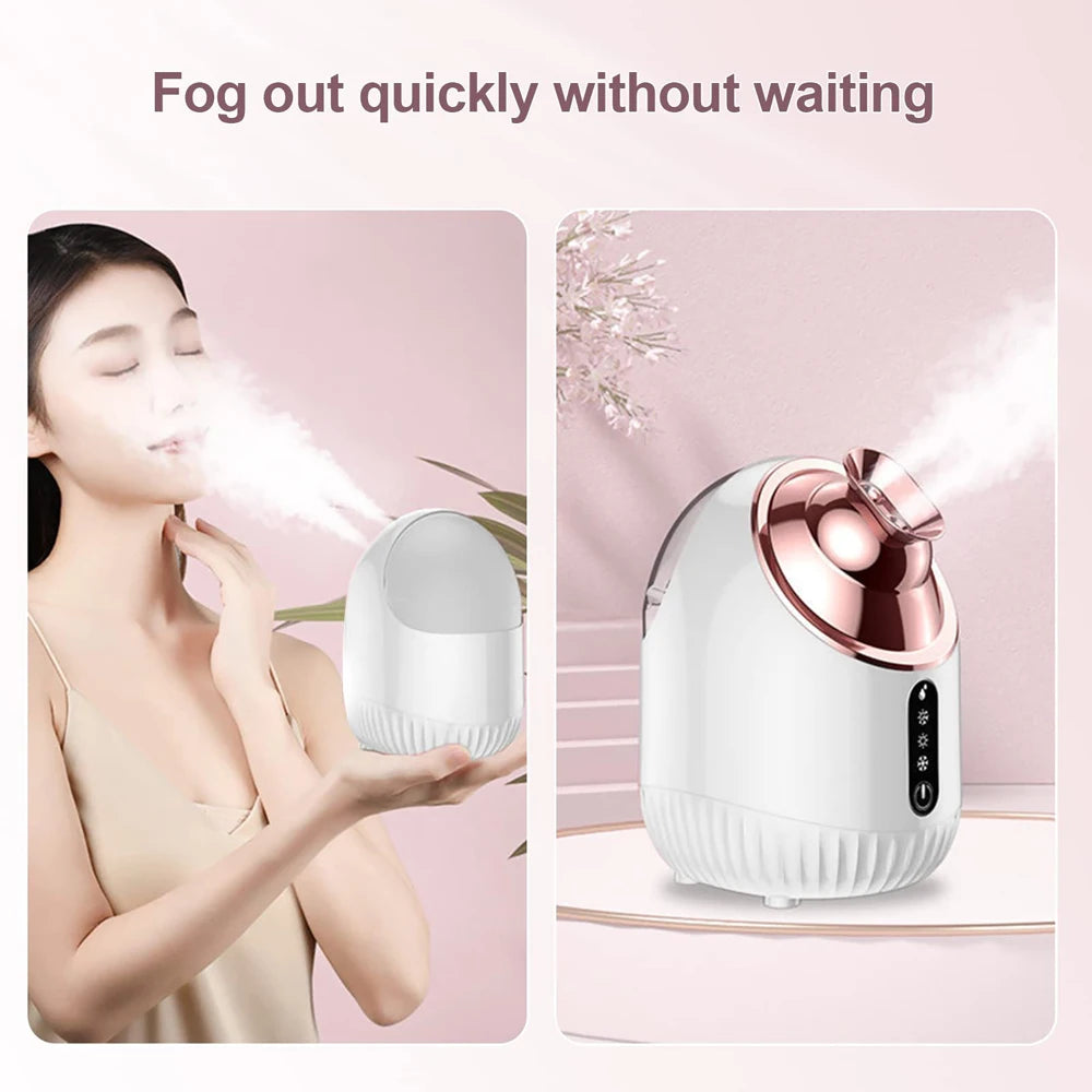 SPA Face Steamer