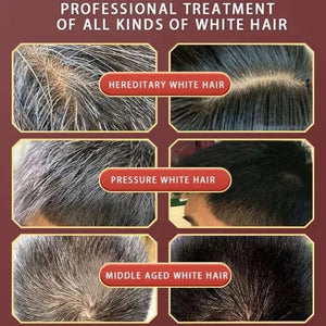 Natural Plant Herbal Hair Dye Shampoo 5 Minutes Change Hair Color