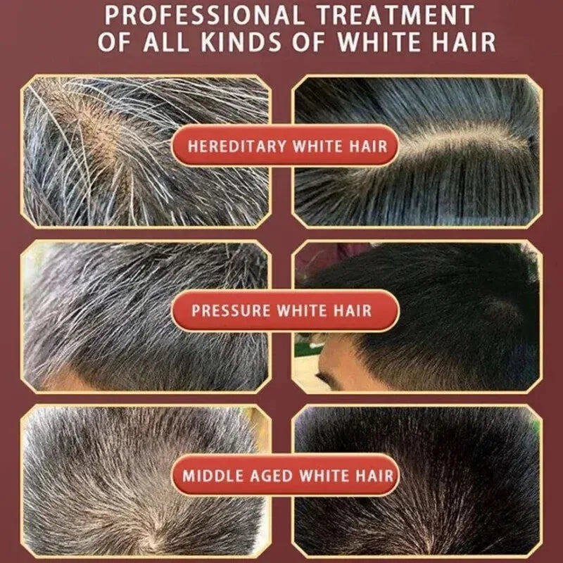 Natural Plant Herbal Hair Dye Shampoo 5 Minutes Change Hair Color