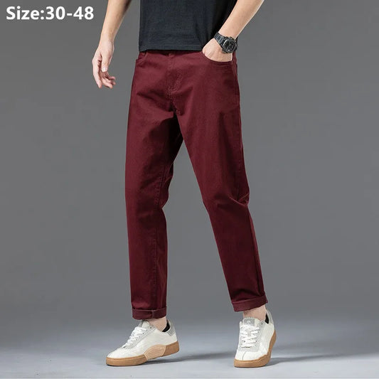 Cotton Pants Men Plus Size 48 46 44 42 Elastic Wine Red Blue Black Casual Trousers Loose Stretched Chino Straight Male Clothing