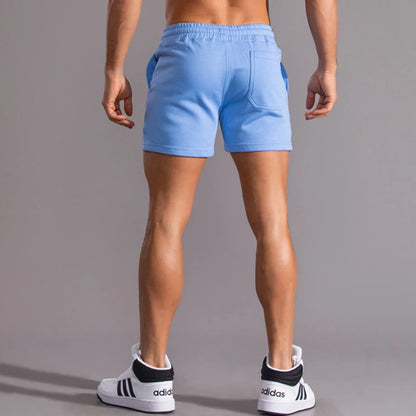 Summer New 100% Cotton Casual Shorts Men High Quality