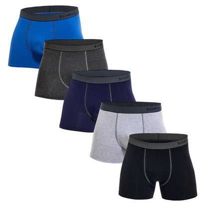 5pcs Pack 2023 Men Panties Cotton Underwear