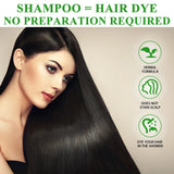염색약 Shampoo 3 in 1 Organic Natural Hair Dye Ginseng Extract Black Hair Color Шампунь Для Волос for Cover Gray White Hair 500ML