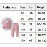Pink Wedding Flower Suit for Kid Boy Spring Autumn Winter Gentleman Vest 4PCS Formal Sets 123456 Years Children Birthday Clothes