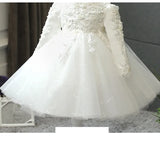 Sequin Tulle Baby Girl Dresses Newbo