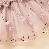 Autumn Baby Clothes Princess Dress  0-3Y Infant Girls Floral Embroidery Lace Bow Dress