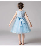 Girl's Princess dress Children's Day Birthday Party Lace Bubble skirt Summer style Dress