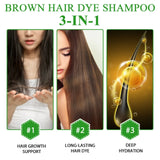 염색약 Shampoo 3 in 1 Organic Natural Hair Dye Ginseng Extract Black Hair Color Шампунь Для Волос for Cover Gray White Hair 500ML